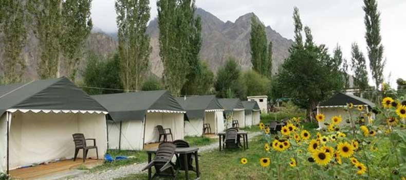 Camps In Ladakh