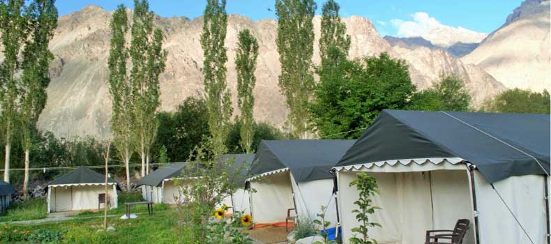 Camps In Ladakh