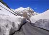 Ladakh tour packages