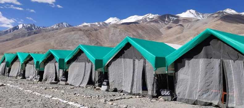 Camps In Ladakh