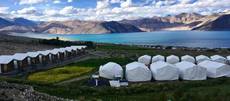 Camps In Ladakh