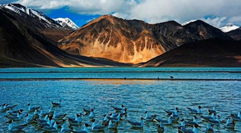 Pangong Lake Leh Ladakh 