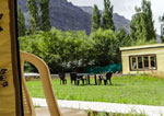 Camps in Nubra Valley