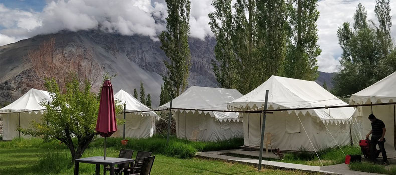 Camps in Nubra Valley