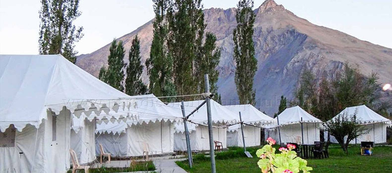 Camps in Nubra Valley