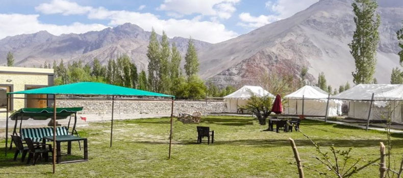 Camps in Nubra Valley