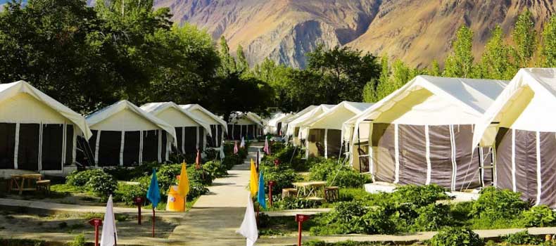 Camps In Ladakh