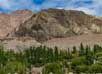 Ladakh tour packages