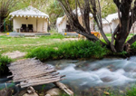 Camps In Ladakh