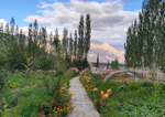 Camps In Ladakh