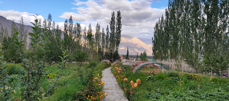 Camps In Ladakh