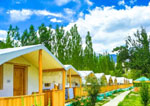 Camps in Nubra Valley