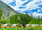 Camps in Nubra Valley