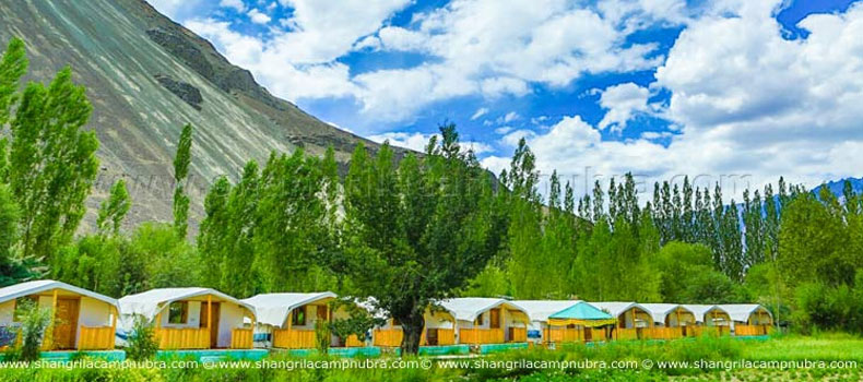 Camps in Nubra Valley