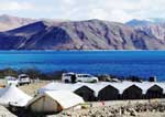 Camps In Ladakh