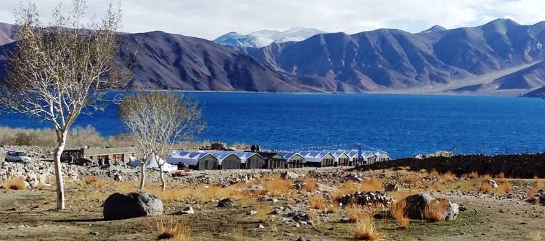 Camps In Ladakh