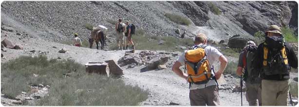 Ladakh Trekking packages