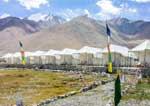 Camps In Ladakh