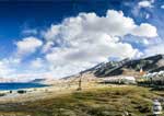 Camps In Ladakh