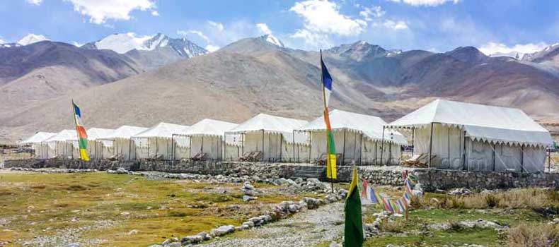 Camps In Ladakh