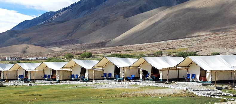 Camps In Ladakh