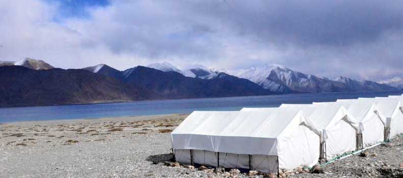 Camps In Ladakh